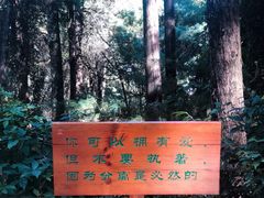 -寂照庵