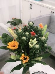 -SOR索尔祛痘·面部肌肤管理