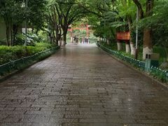 -杭州半山国家森林公园