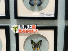 -深圳龙华星河COCO City(民治店)