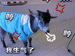 -怪兽屋·羊驼·猫咖·狗咖(俊华广场店)