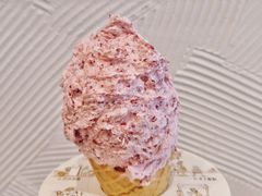 -野人先生现做冰淇淋(北京环宇荟店)