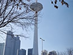 -辽宁电视塔