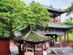 -报恩寺(平武县)