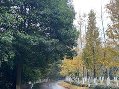 -凤凰沟景区