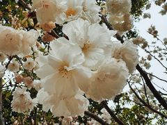 -观澜湖生态运动公社