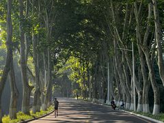 -灵谷景区