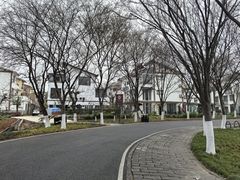 -东湖落雁景区