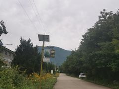 -青峰峡国家森林公园