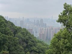 -南山植物园