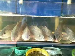 水产区-渔中舟海鲜大排档(普陀沈家门店)