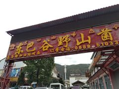 门面-东巴谷野生菌火锅餐厅