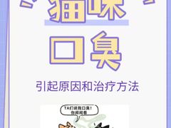 -御宝贝·A梦猫科宠物医院(国际猫友好医院)