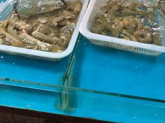 -济南海鲜大市场