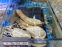 -大众海鲜(巨龙北路店)