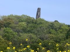 -上海佘山国家森林公园天马山园