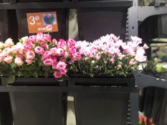 -盒马鲜生(189购物中心店)