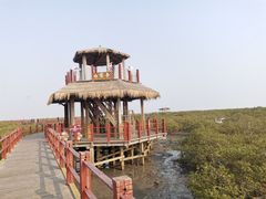 -北海金海湾红树林生态旅游区