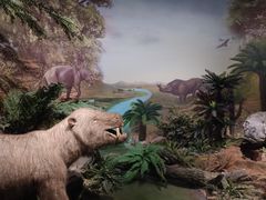 -湖南省地质博物馆