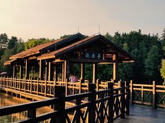 -海珠湖公园