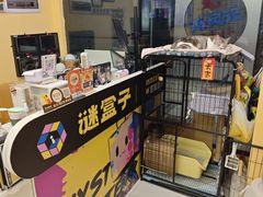 -谜盒子奇幻密室(南屏店)