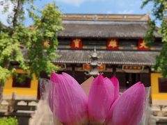 -西园戒幢律寺