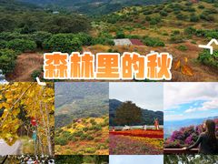 -广州市石门国家森林公园