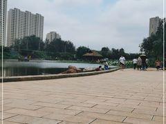 -前关湿地公园