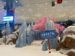 -湘江欢乐城欢乐雪域