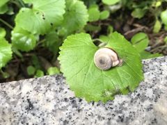 -辽宁省实验中学
