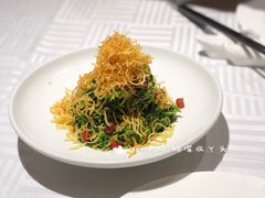 巧拌豆苗-四季民福烤鸭店(王府井灯市口店)