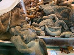 -洪记白水羊头(留学路店)