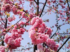 -名花谷生态庄园