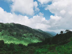 -神农架景区