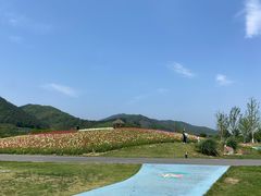 -径山花海