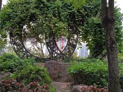 -中澳友谊花园