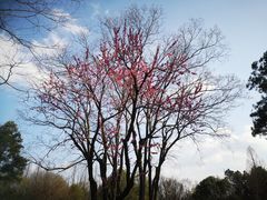 -楼外楼(玉泉店)