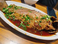 -韩师傅老大同刀削面(北苑路店)