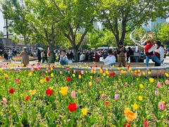 -长春公园(普阳街道)