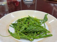 -九头鸟酒家(东高地店)