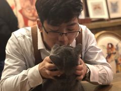 -共舞时光猫咖·狗咖(新街口店)
