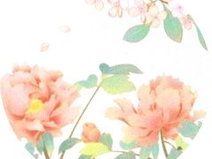 -好利来(十里河店)