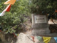 -白水寺森林公园