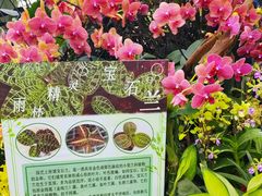 -上海辰山植物园