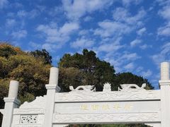 -羚羊峡古栈道森林公园