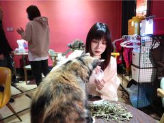-猫色咖啡·猫咖
