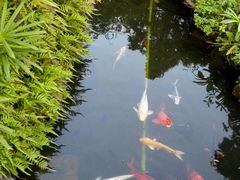 -绿华园休闲山庄