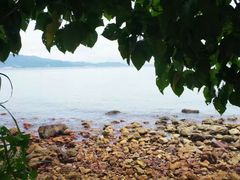 -西涌国际滨海旅游区