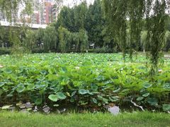 -堤角公园