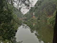 -南山植物园